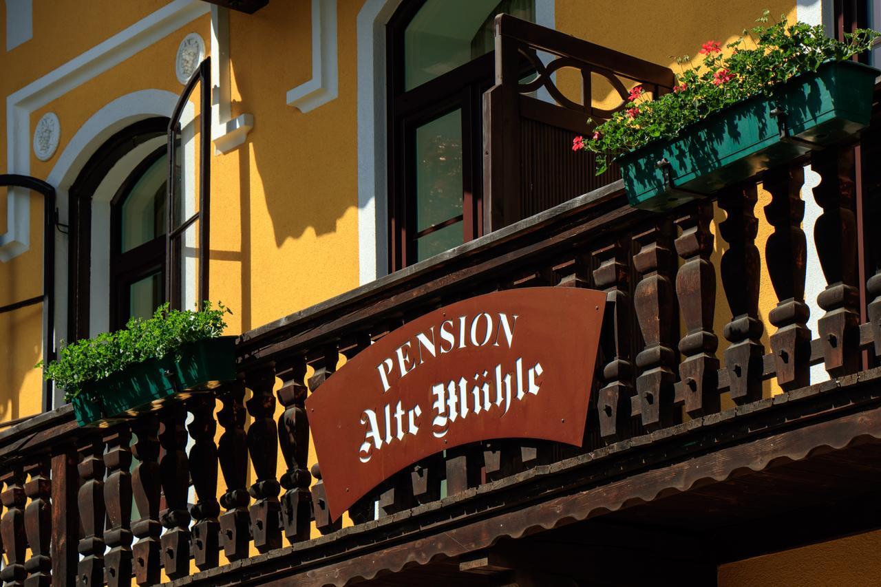 Pension Alte Muehle Gmünd Dış mekan fotoğraf