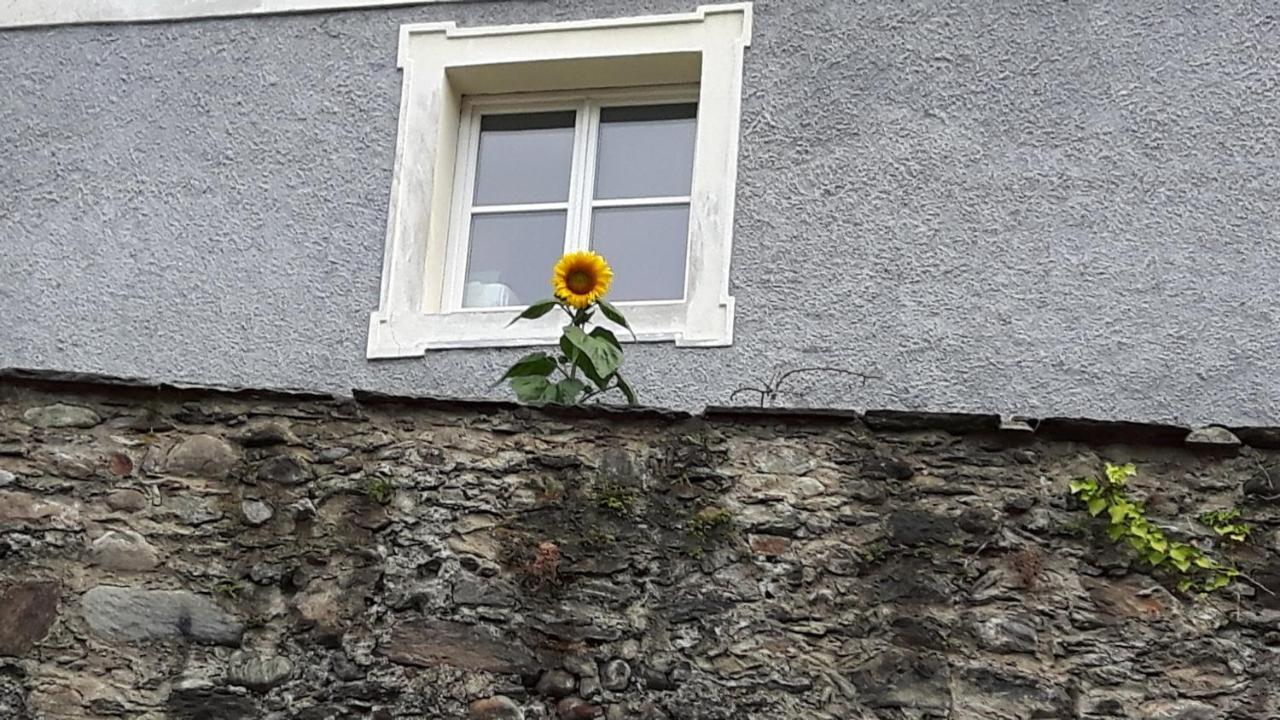 Pension Alte Muehle Gmünd Dış mekan fotoğraf